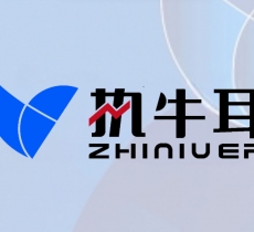 关税重压下，品牌出海的全新切入点是什么？